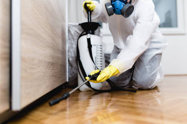 Best Best Pest Control Companies  in Keizer, OR