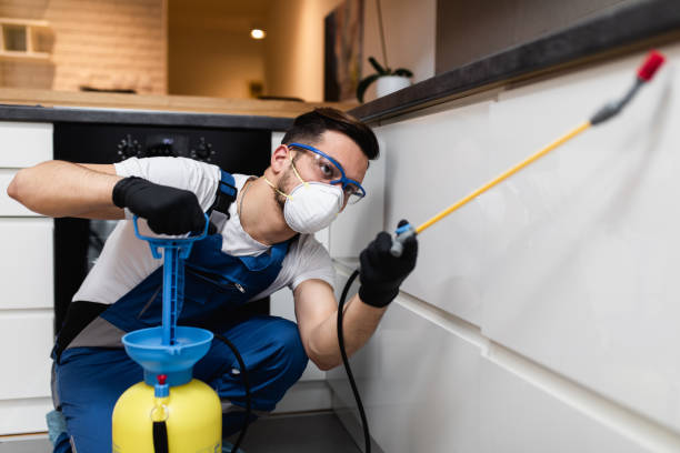 Professional Pest Control in Keizer, OR