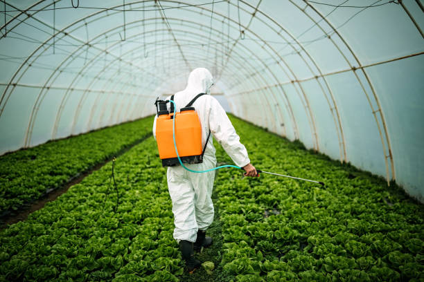 Best Mosquito Control Services  in Keizer, OR
