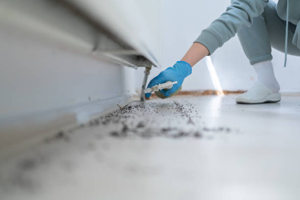 Best Best Pest Control Companies  in Keizer, OR